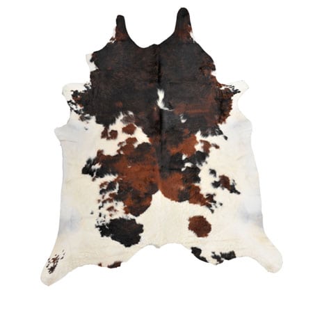 Exotic Medium - insideout Newcastle